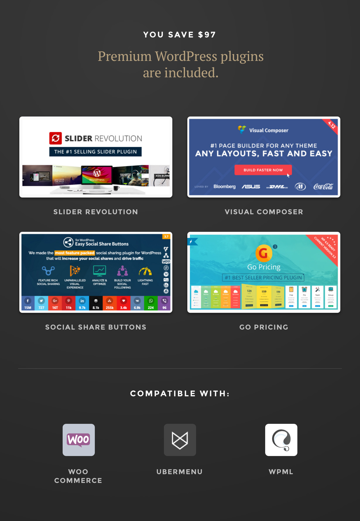 Baikal - Chủ đề WordPress đa năng đáp ứng - 4