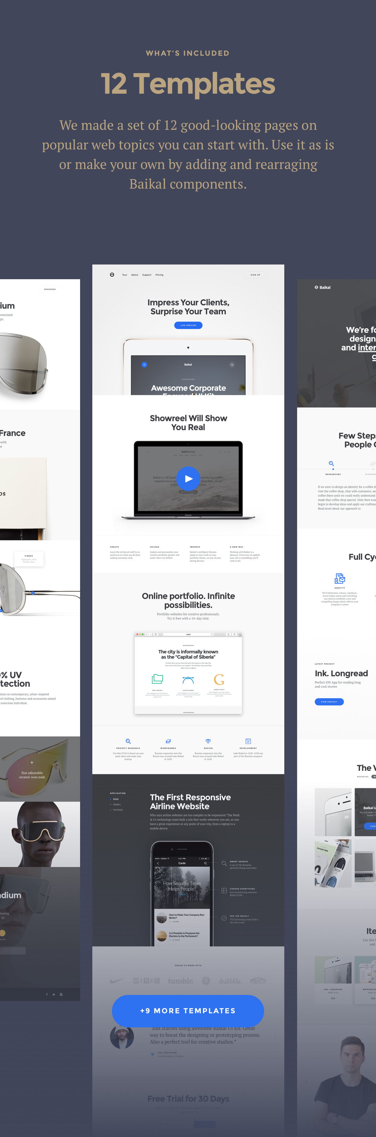 Baikal - Chủ đề WordPress đa năng đáp ứng - 6